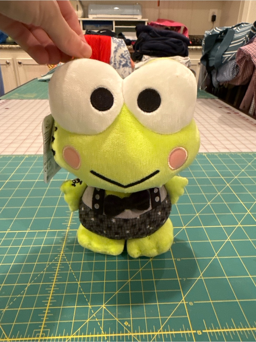 Hello Kitty and Friends Keroppi Series 2 Stuffed Animal
